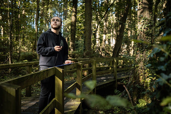 A learner surveying a forest