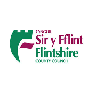 Employer-Logos-Flintshire-1.jpeg