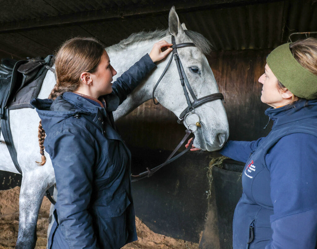 an equine learner stroking a horse