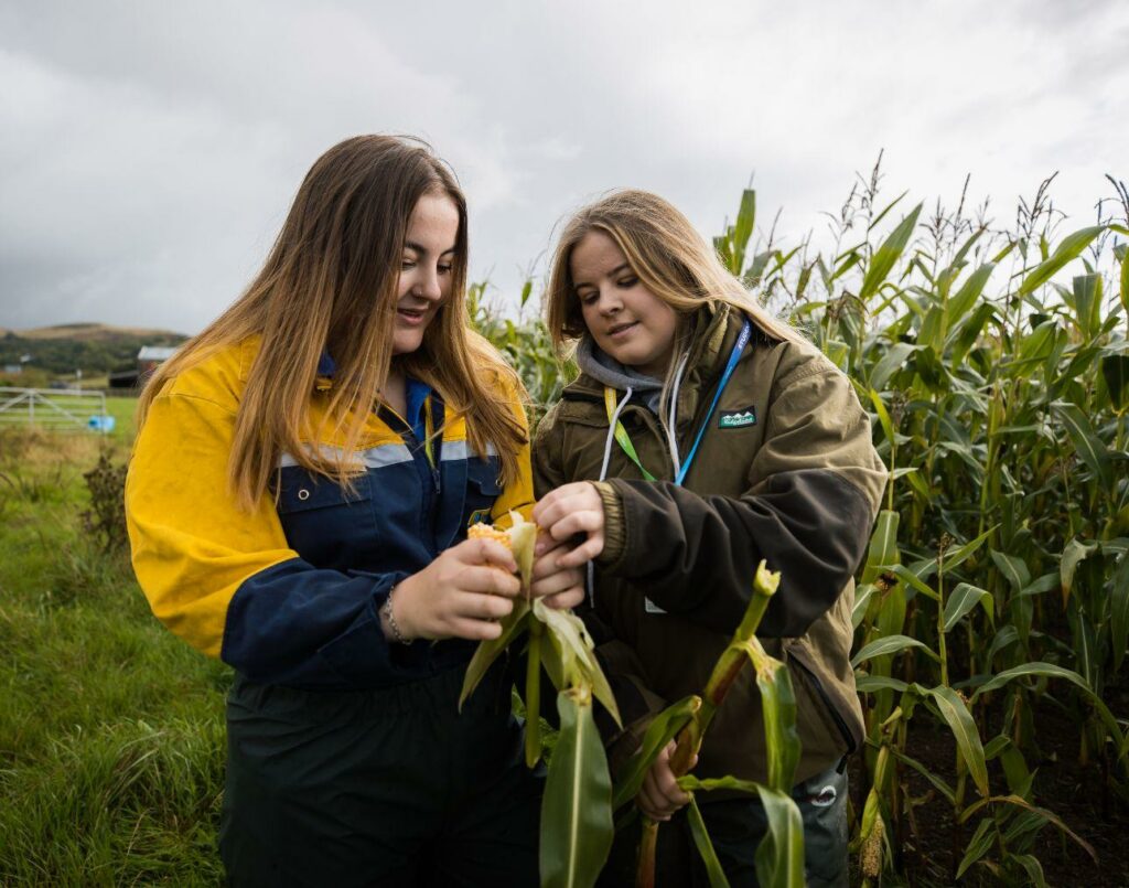 Two agriculture students in a crop field holding one of the crops