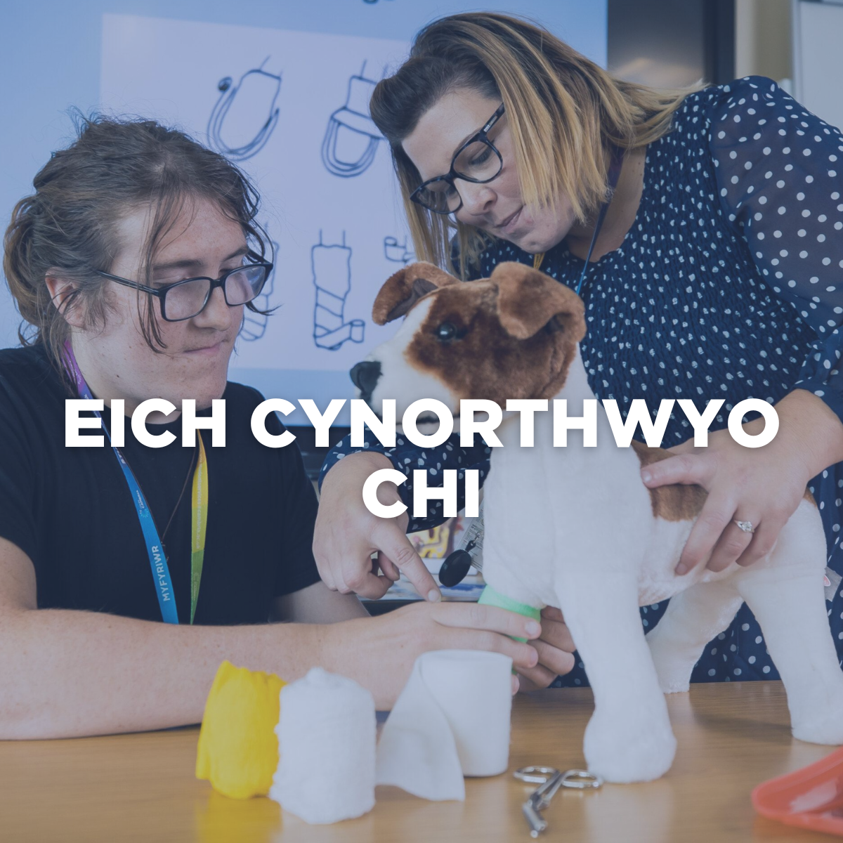 Apprenticeship Week 'Apprenticeships We Offer' homepage block