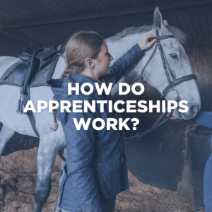 NAW web block 'How Do Apprenticeships Work?'