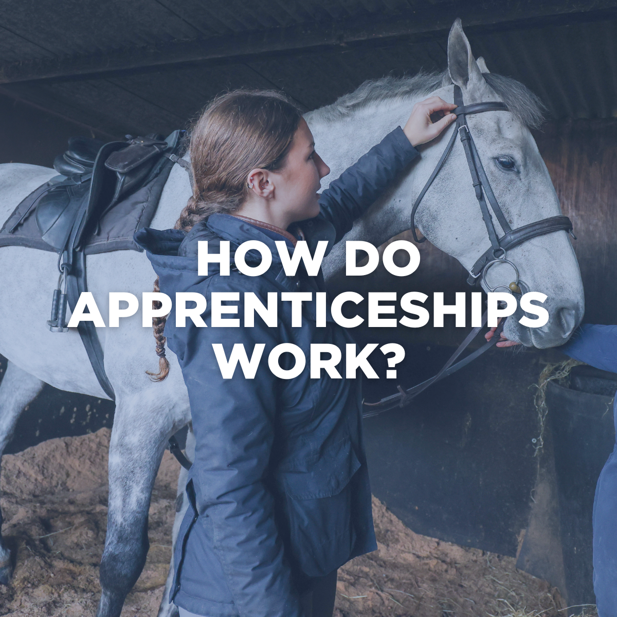 NAW web block 'How Do Apprenticeships Work?'
