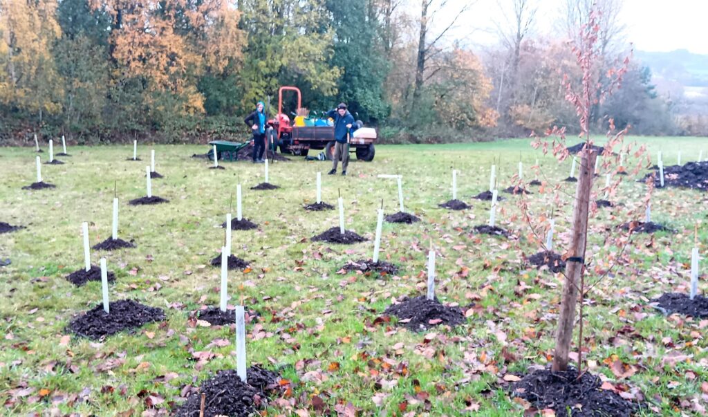 A “green sweep” of achievements helped cultivate Coleg Cambria’s reputation as one of the UK’s most sustainable and forward-thinking educators