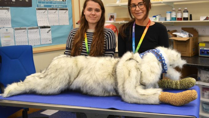 STUDENTS on an innovative veterinary course enjoyed a perfect start to the year